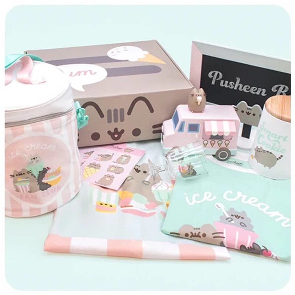 SEALED Summer 2021 Ice Cream Fan Club Pusheen Box